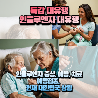 인플루엔자 독감 섬네일