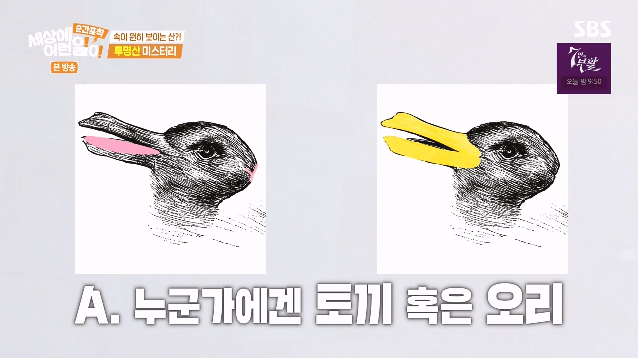 순간포착 세상에 이런일이.E1272.240407p-NEXT.mp4_20240407_175008.017.jpg