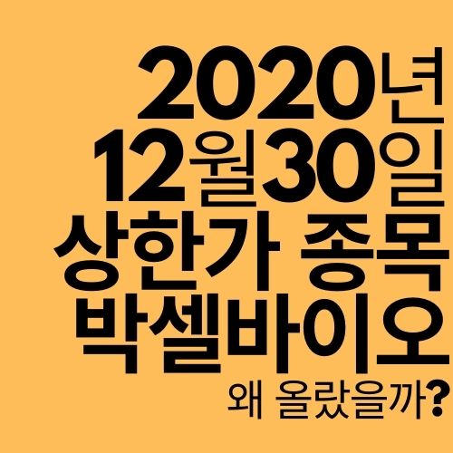  [상한가 종목] 박셀바이오 (왜 올랐을까?)