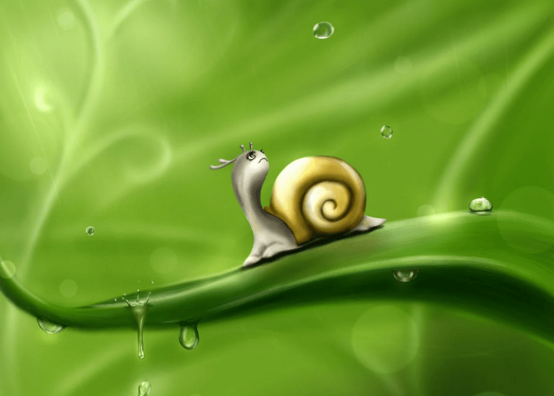 달팽이가 잎 위에 앉아있는 그림