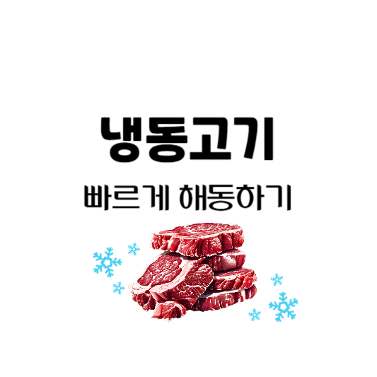 냉동고기 빠르게 해동하는법