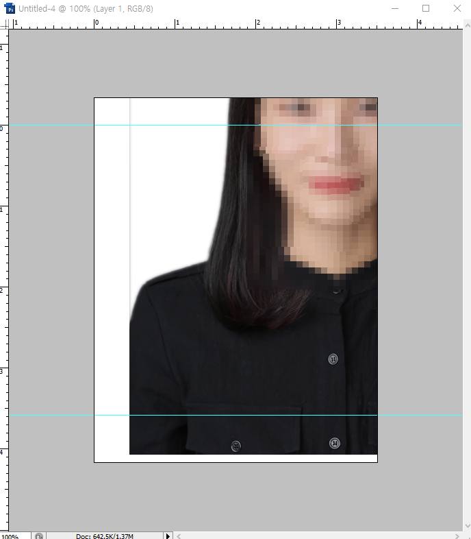 여권 사진 규격 맞추기