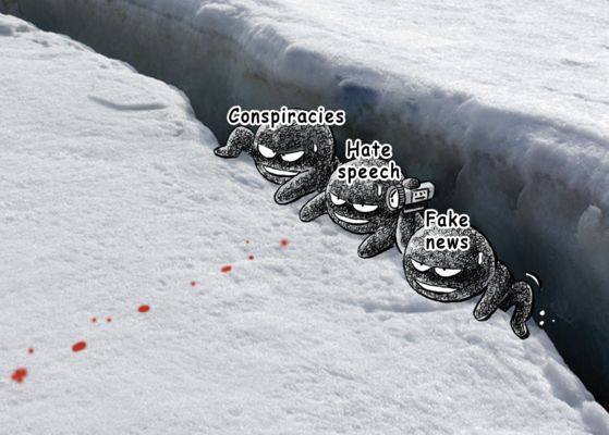 48135.jpg