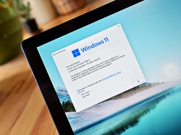 Windows 11의 최신 부팅 정책 업데이트(출처-windowscentral)