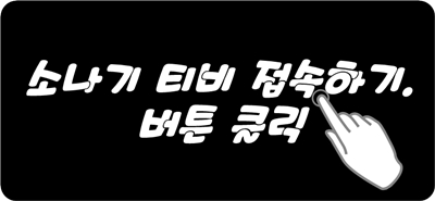  소나기티비 우회접속 방법, 누누TV/누누티비 대체 가능한 OTT 채널.
