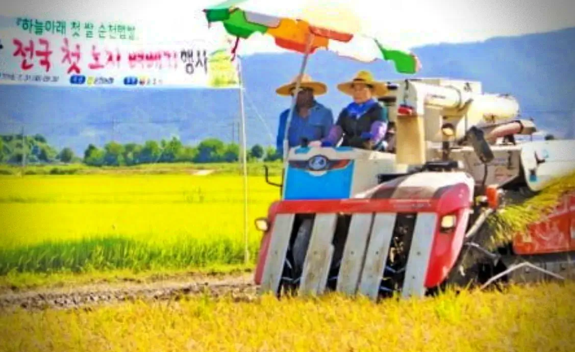  농협 조합원 자격 가입방법 절차 서류 혜택 완벽정리