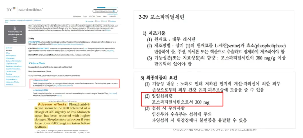 사진11