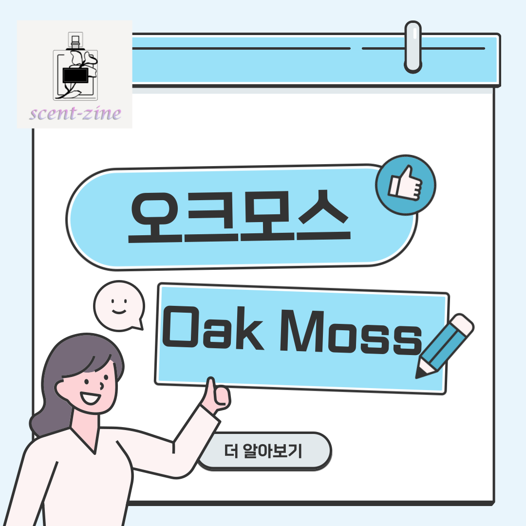  오크모스 OAK MOSS 참나무 지의류 시프레 푸제르