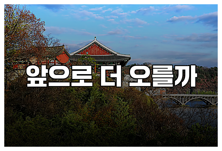 앞으로 더 오를까