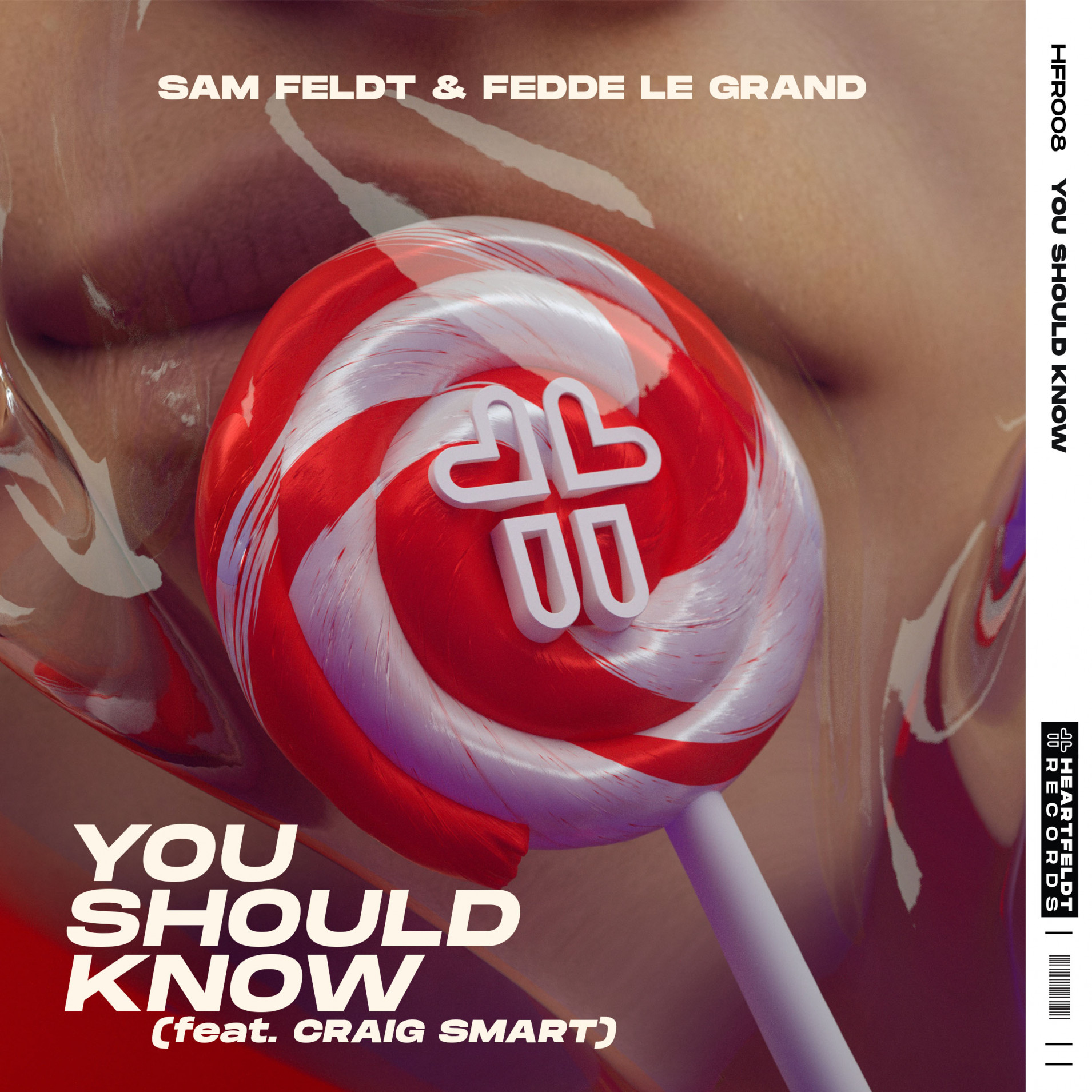  Sam Feldt & Fedde Le Grand - You Should Know
