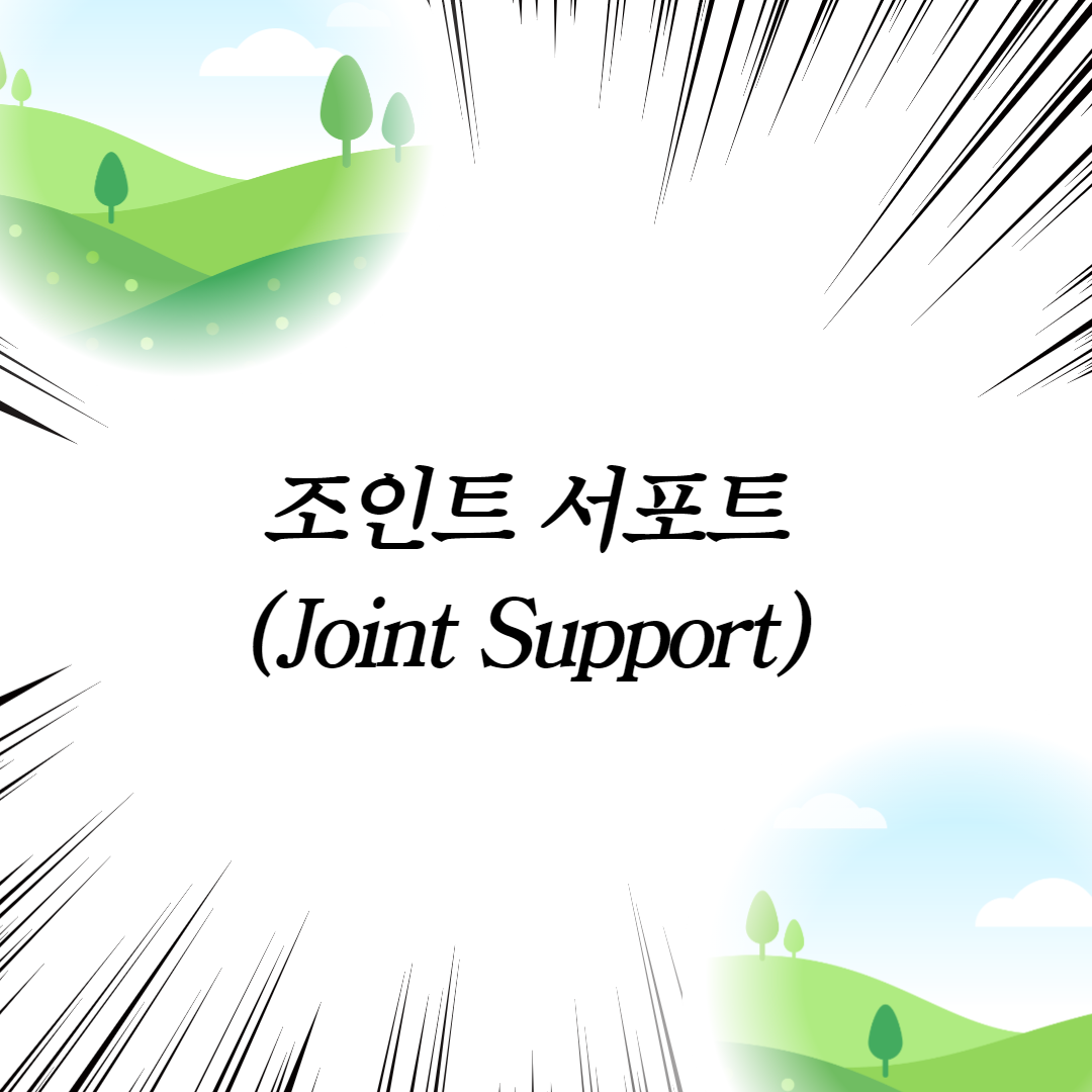  조인트 서포트(Joint Support)