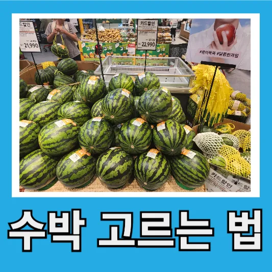 모양과 크기