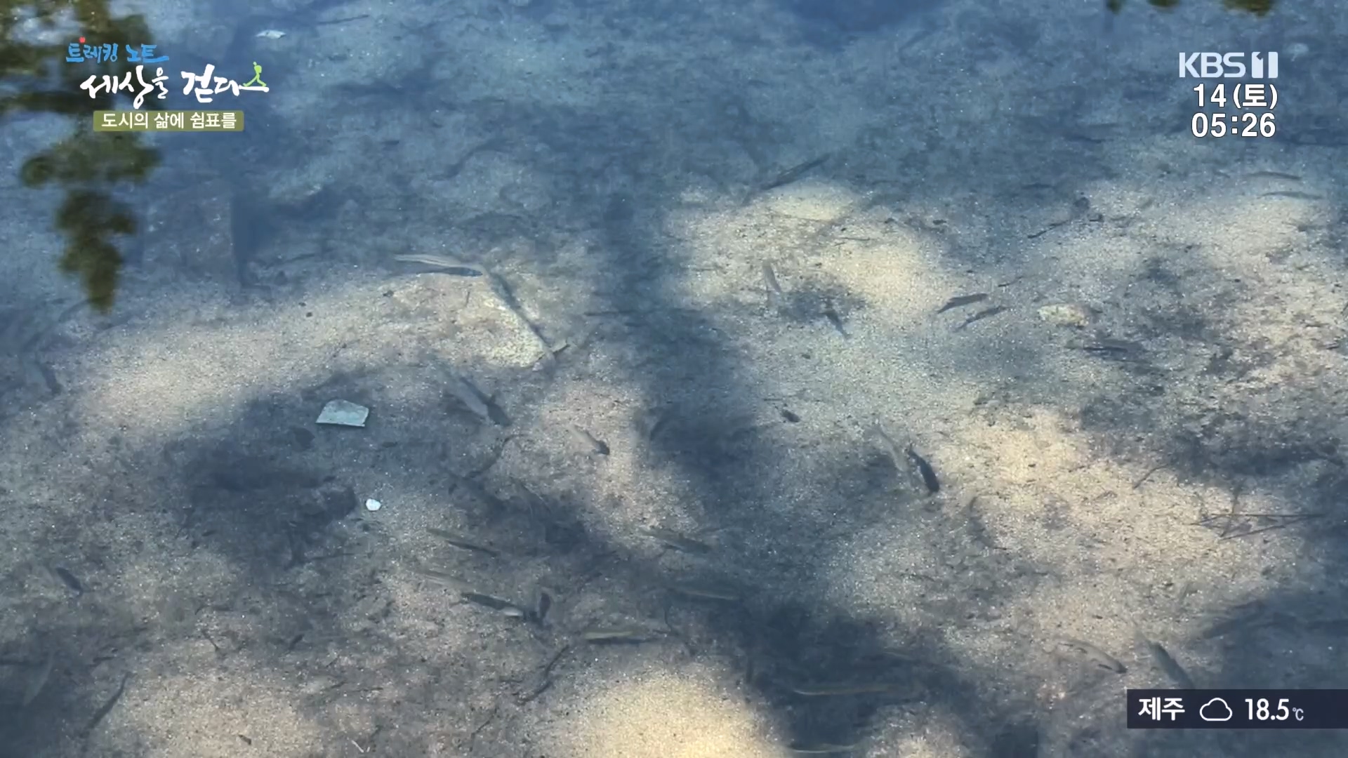 트레킹노트 세상을 걷다.E290.231014p.H264-F1RST.mp4_20231014_180005.560.jpg