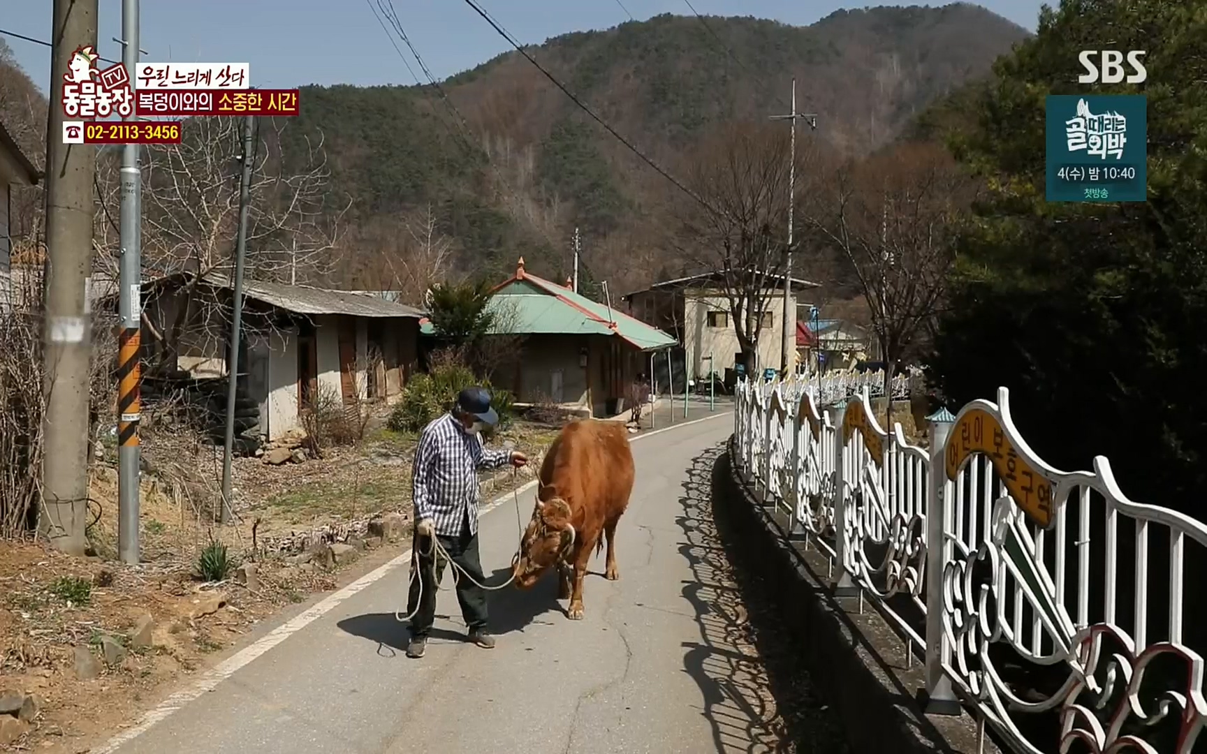 TV 동물농장.E1067.220501p.H264-F1RST.mp4_20220501_184257.936.jpg