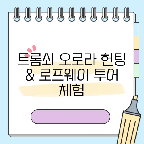 트롬쇠 오로라 헌팅 & 로프웨이 투어 체험