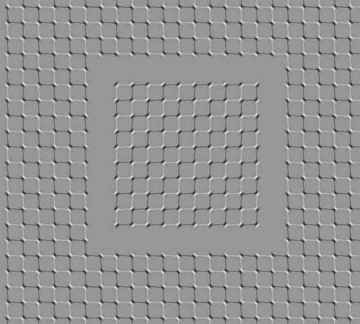 이 착시 움직임을 10초 동안 정지시킬 수 있을까 VIDEO: Can YOU stop the squares in this optical illusion from moving for 10 seconds?
