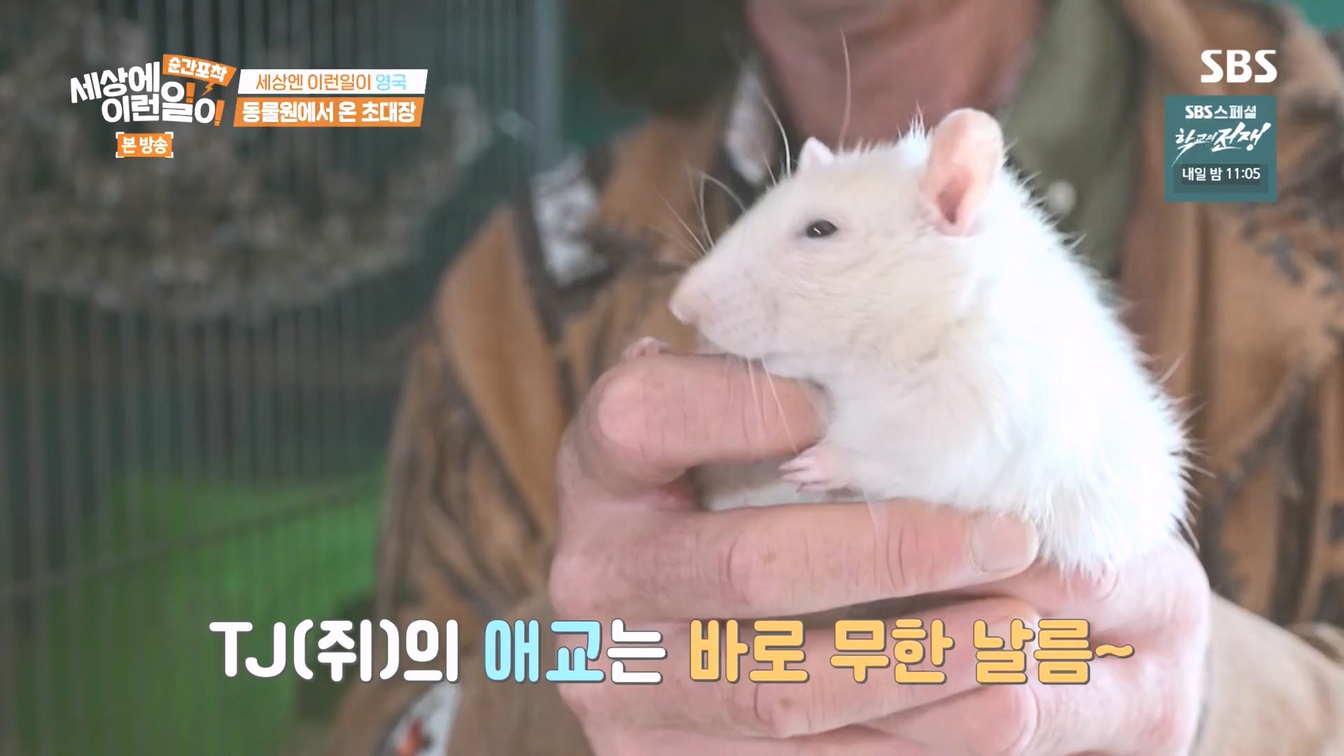 순간포착 세상에 이런일이.E1249.231021p.H264-F1RST.mp4_20231022_153240.668.jpg