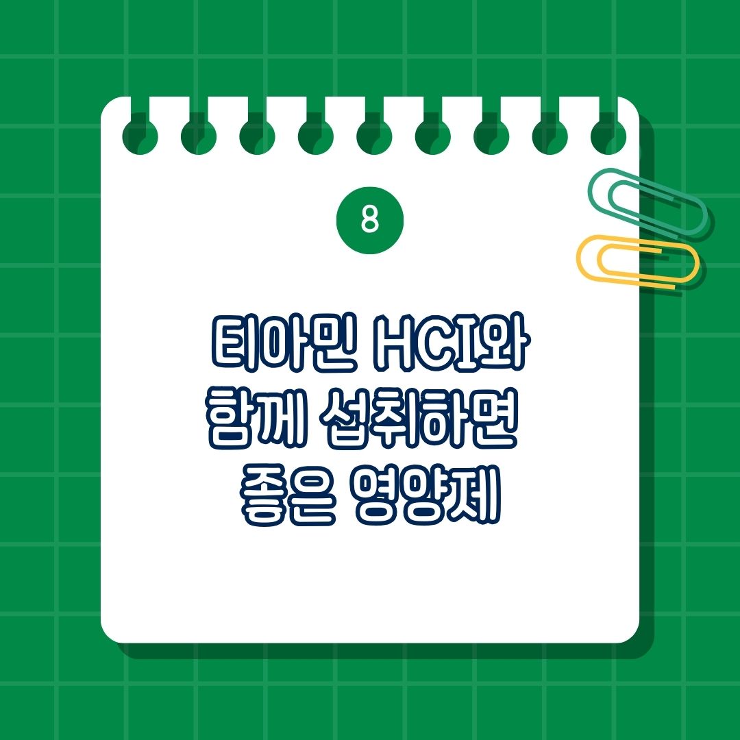 티아민 HCI(Thiamine HCI), 비타민 B1 함께 섭취하면 좋은 영양제, 함께 복용하면 도움 되는 영양제
