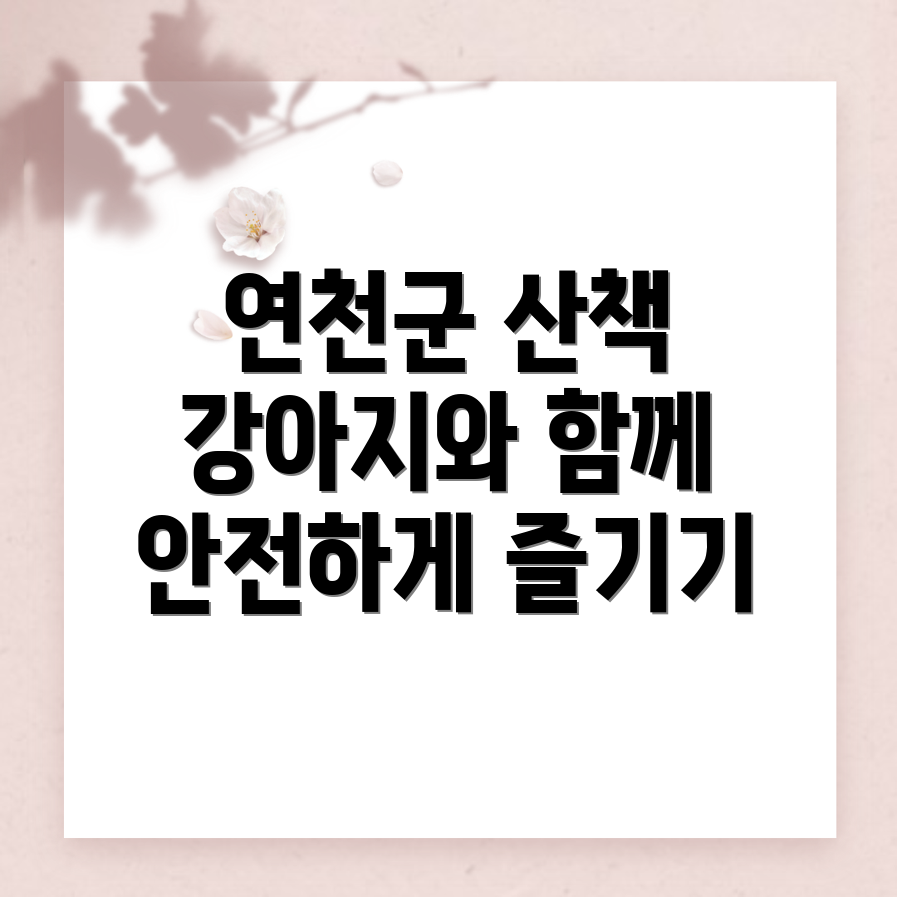 강아지 산책