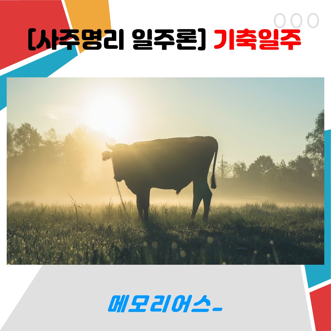 모두여행사주 이미지