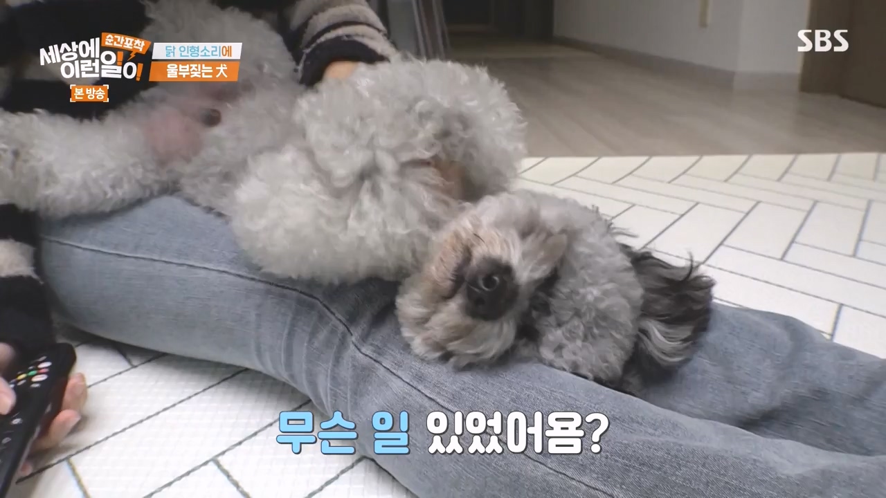 순간포착 세상에 이런일이.E1252.231112p-NEXT.mp4_20231112_170301.374.jpg