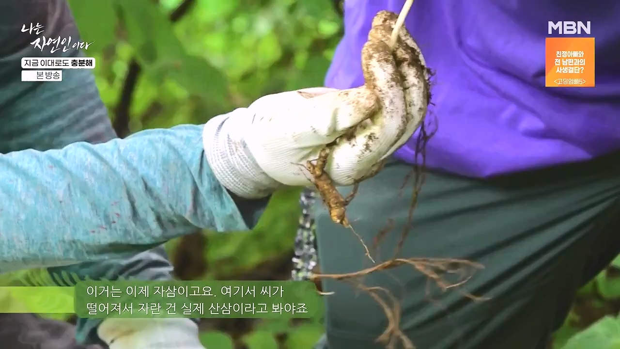 나는 자연인이다.E615.240725p-NEXT.mp4_20240725_200727.878.jpg