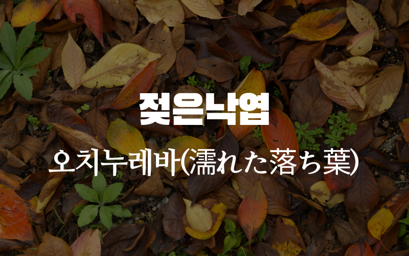 젖은 낙엽