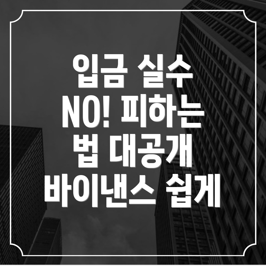 바이낸스 입금 실수