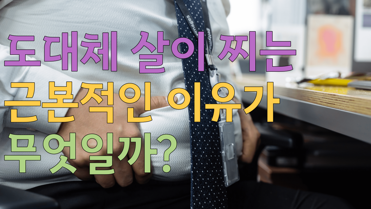  도대체 살이 찌는 근본적인 이유가 무엇일까?