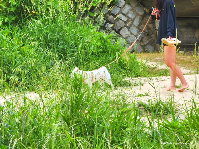 원주 칠봉유원지