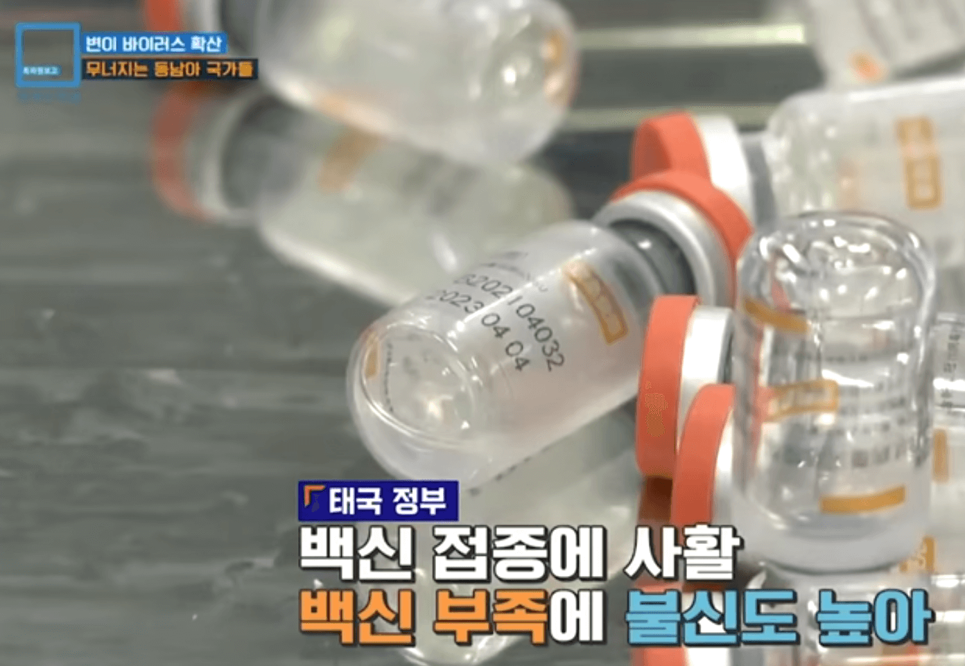 외국 백신 접종