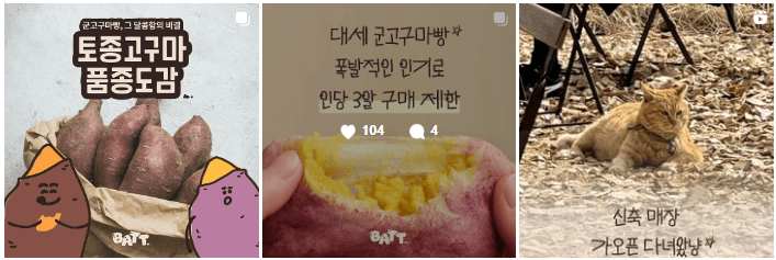 출처: 감자밭