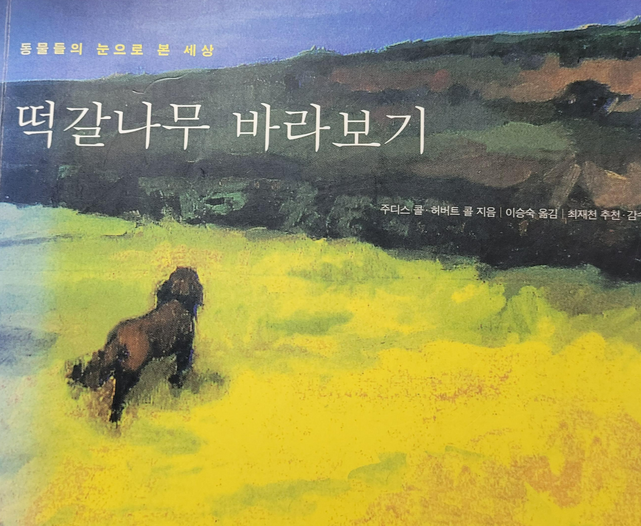 내가 책을 읽지 않았다면 '움벨트'라는 말을 어디서 들을 수 있었으랴!