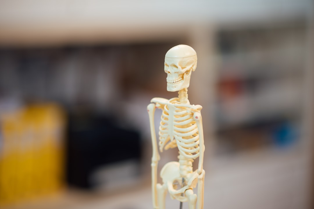 Skeleton.