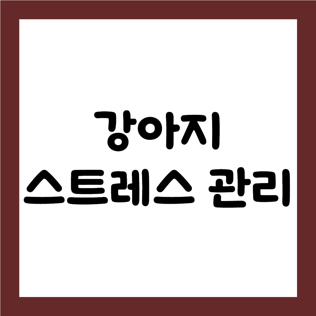 강아지 스트레스 관리1