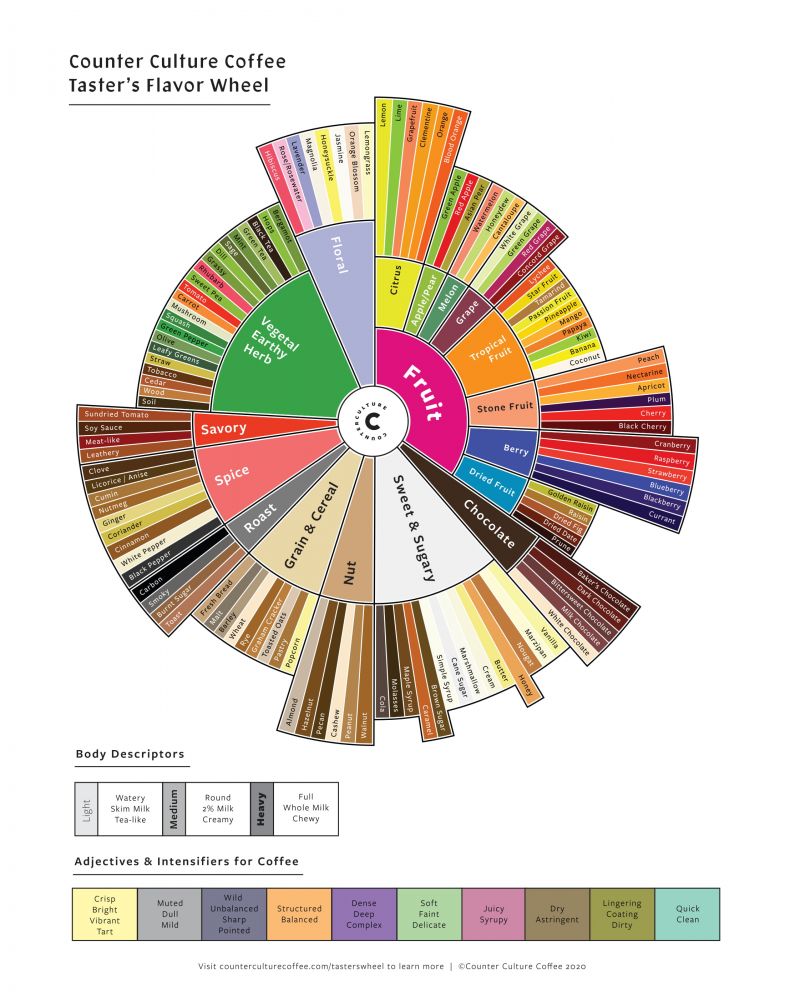  카운터컬쳐커피의 플레이버휠(Taster's Flavor Wheel) 개정판 배포