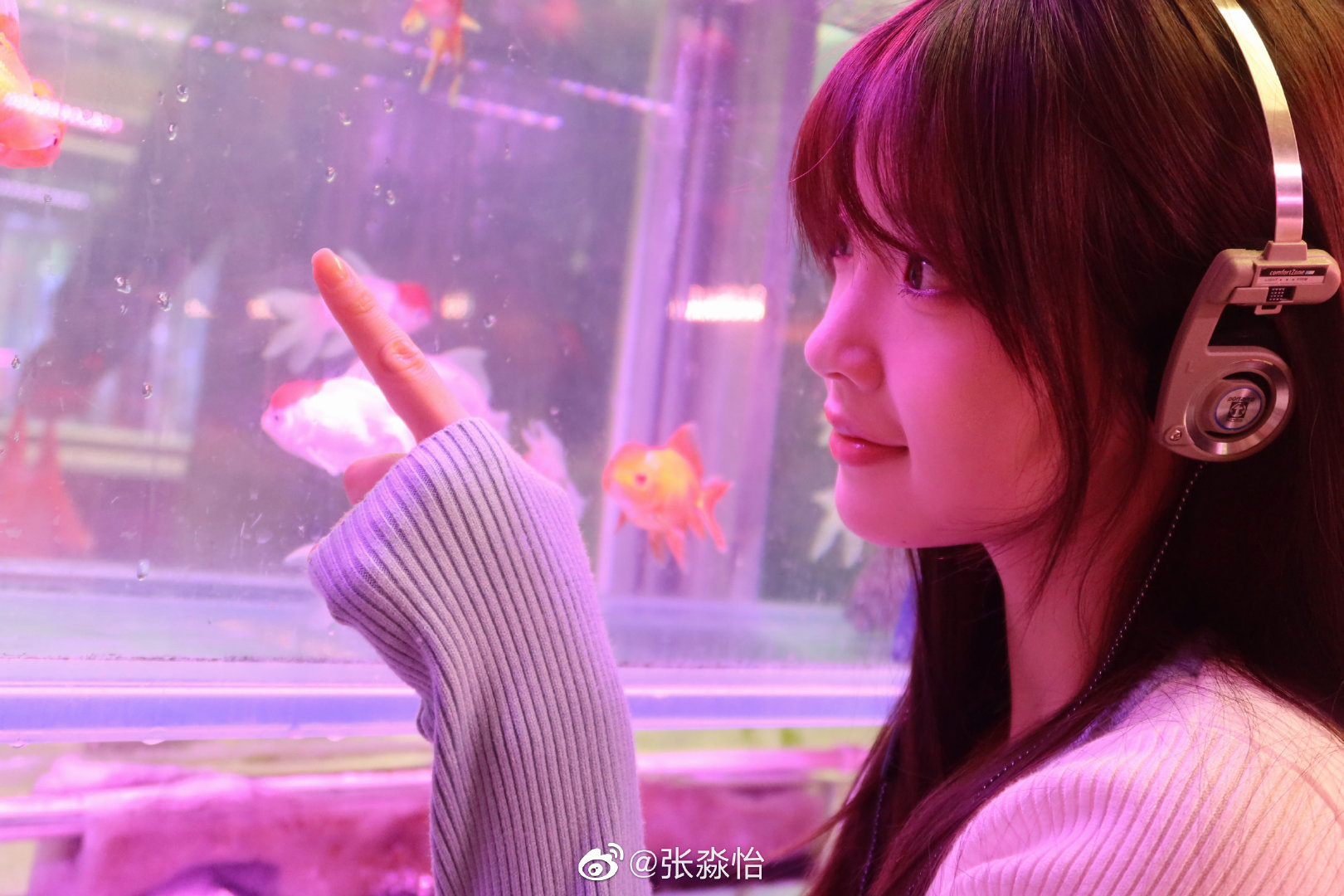 첨점적 함정 사빈빈 장묘이 5