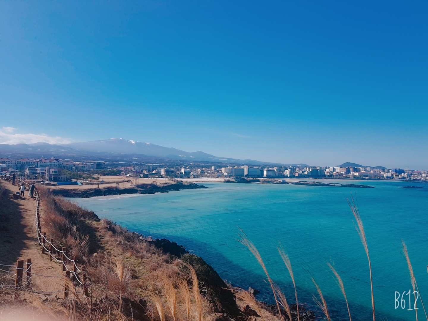  제주도 동쪽여행지 꼭 가봐야하는곳함덕 서우봉