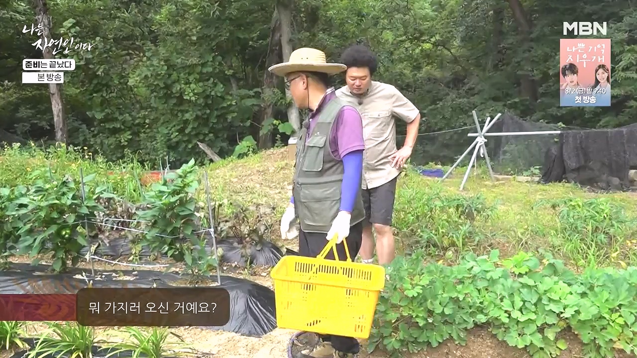 나는 자연인이다.E616.240732p-NEXT.mp4_20240801_195124.049.jpg