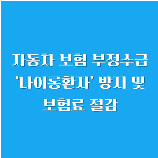 자동차 보험 부정 수급 ‘나이롱환자’ 방지 및 보험료 절감