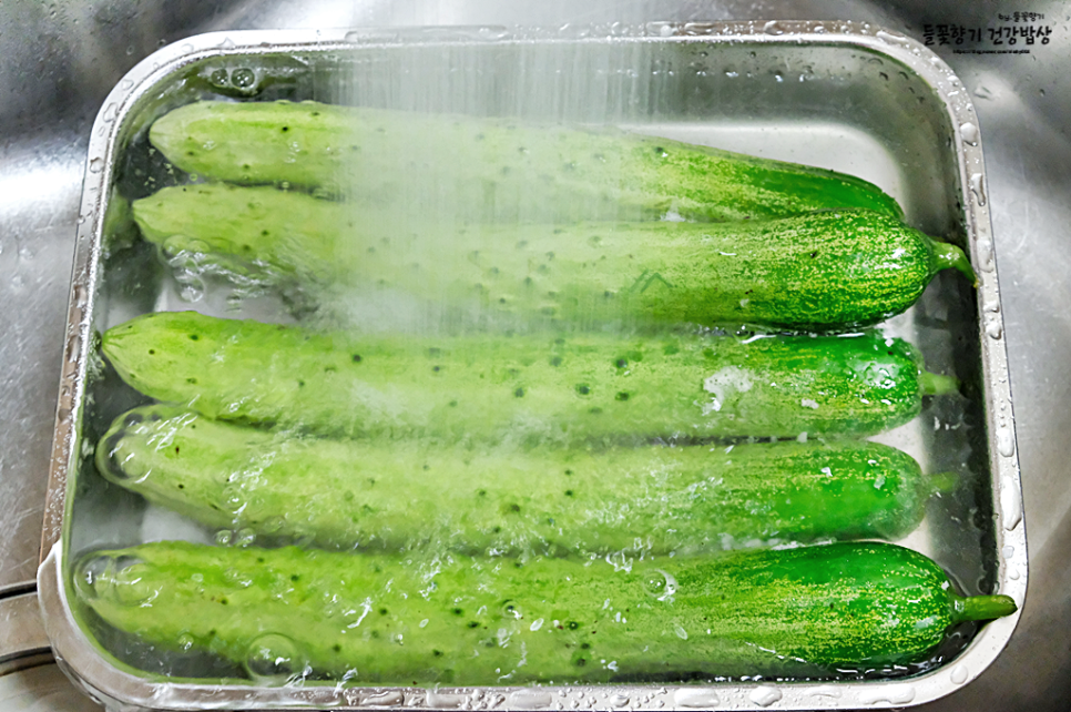 오이 김치 담그는 법 아삭아삭한 부추 오이 김치 담그는 법 37