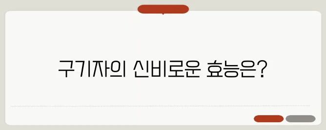 구기자 효능 한번 정확하게 알아보도록 하죠