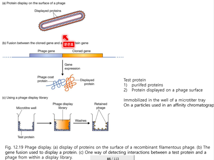 article thumbnail image