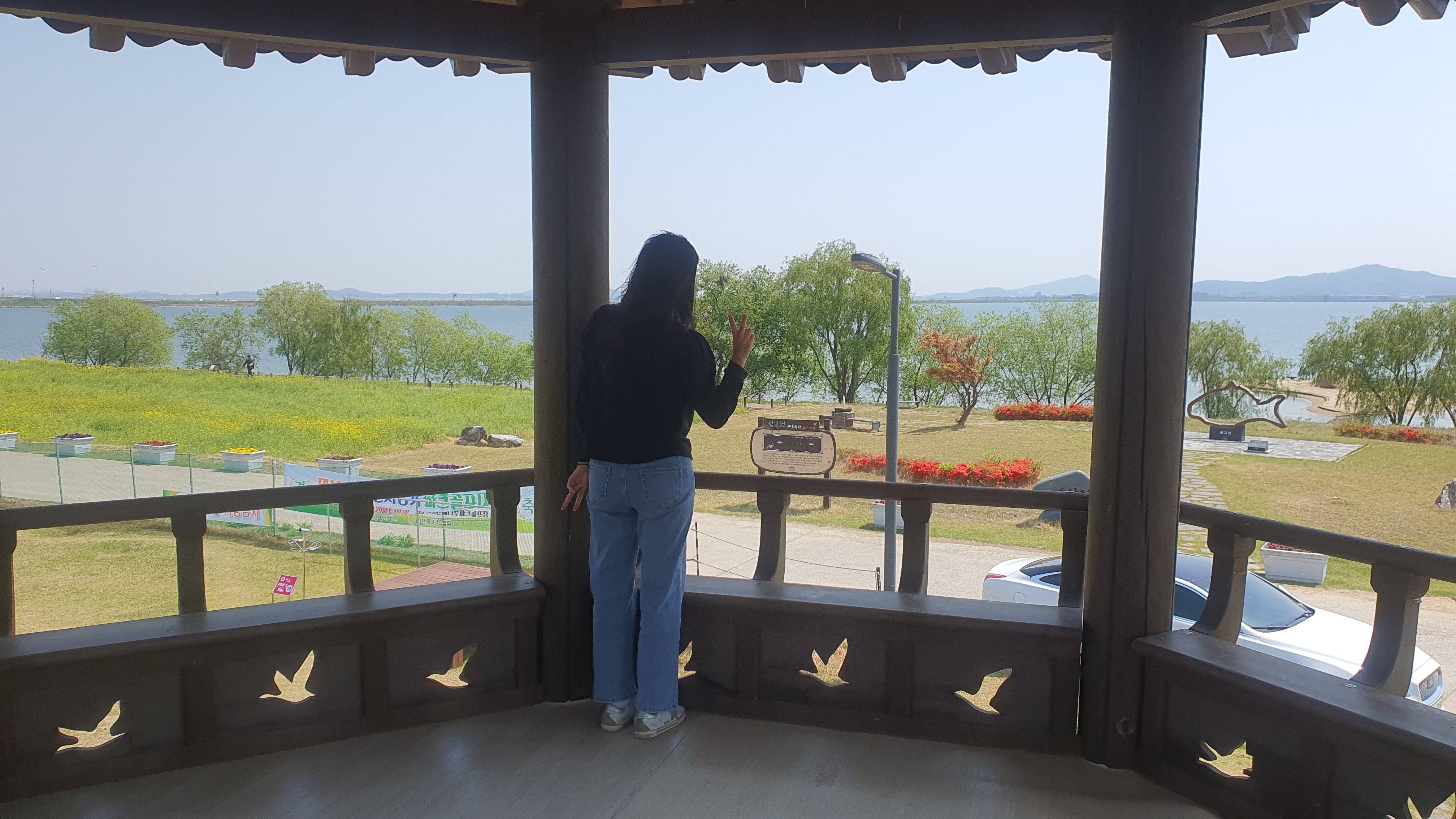 당진 유채꽃 명소 : 삽교호 호수공원