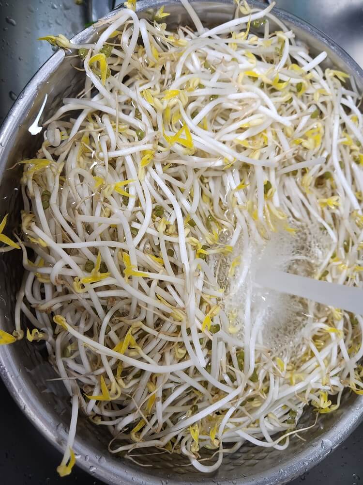 숙주 씻기