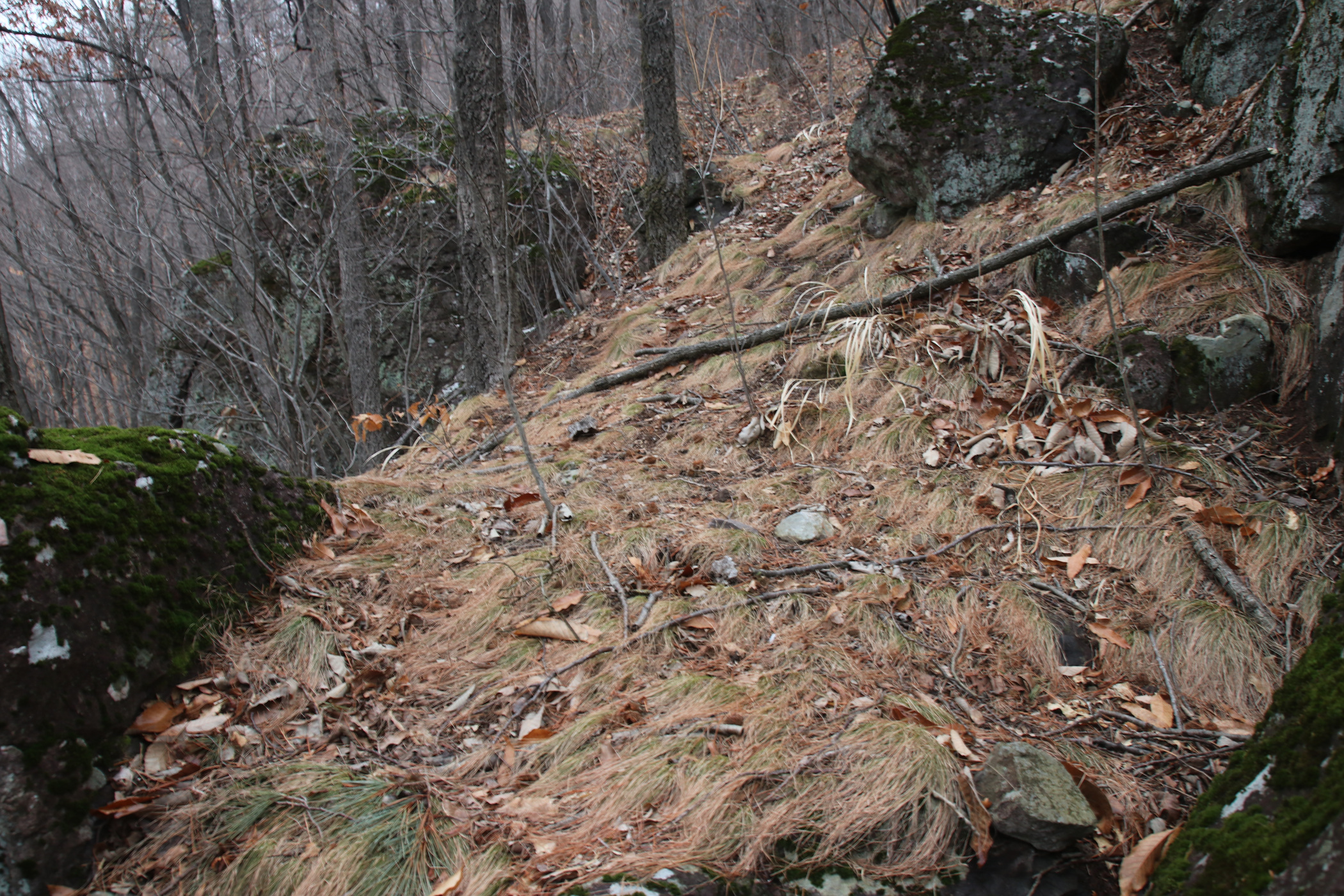 경남 의령군 국사봉 05 22