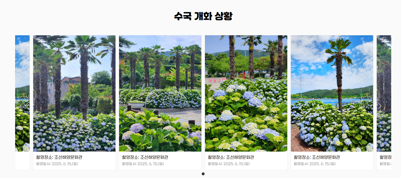 https://geoje-rang.co.kr/hydrangea