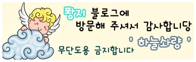 국제택배 EMS 우체국 택배 보내기 [미국새댁 황지] 한국에서 미국으로 3