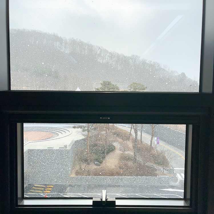 사진으로보는 2월 23