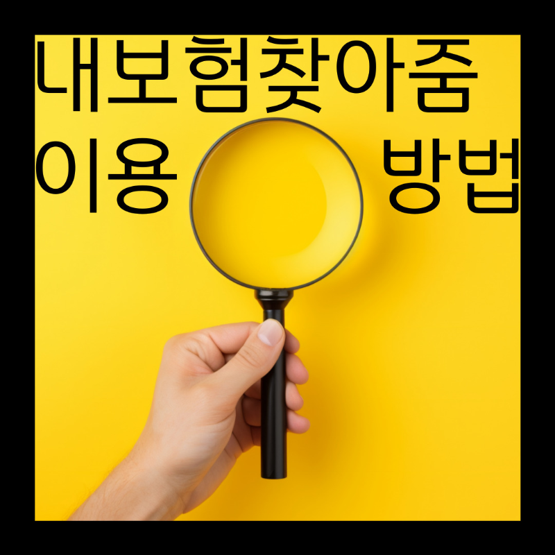  내보험찾아줌 이용방법 알아보기